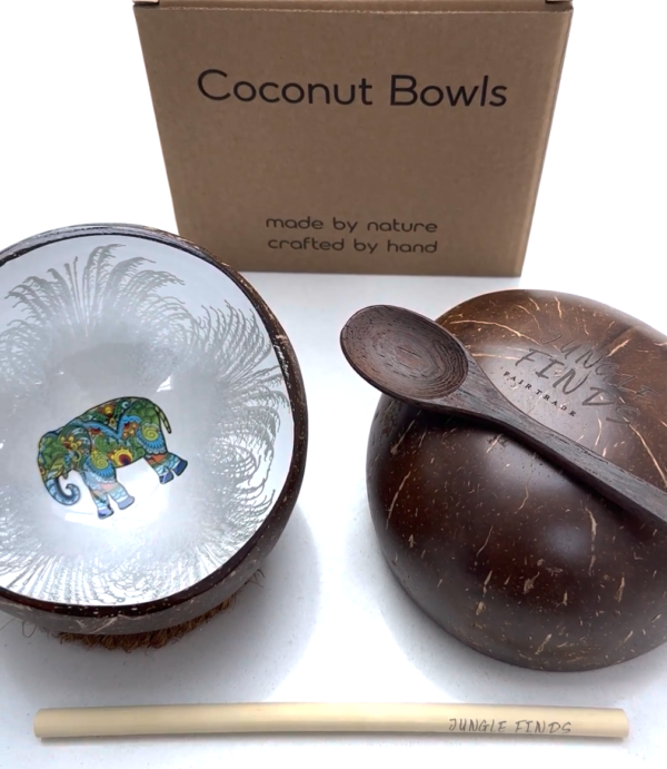Silver coconut elephant bowl